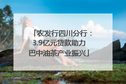 农发行四川分行：3.9亿元贷款助力巴中油茶产业振兴