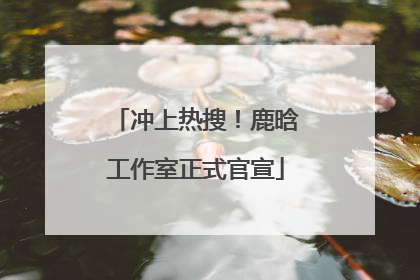 冲上热搜！鹿晗工作室正式官宣