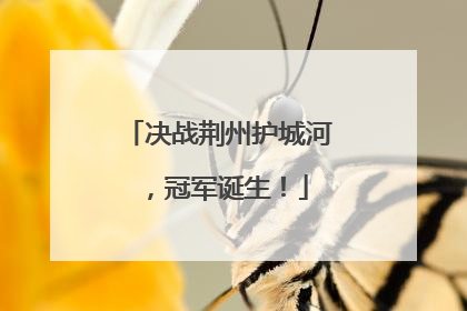决战荆州护城河，冠军诞生！
