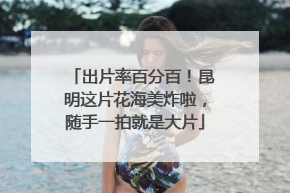 出片率百分百！昆明这片花海美炸啦，随手一拍就是大片