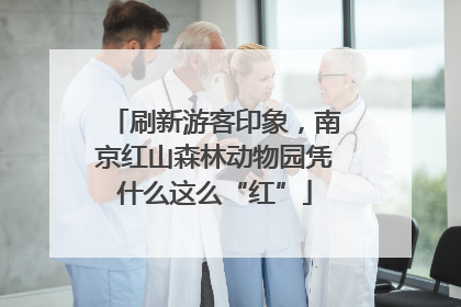 刷新游客印象，南京红山森林动物园凭什么这么“红”