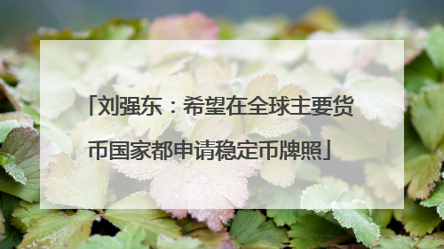 刘强东：希望在全球主要货币国家都申请稳定币牌照