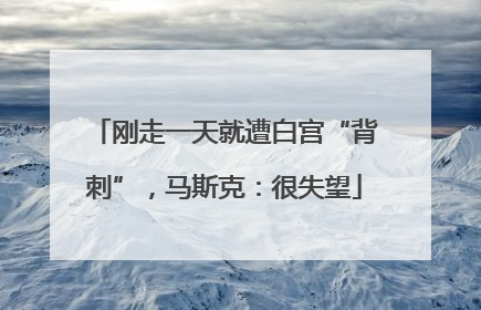 刚走一天就遭白宫“背刺”，马斯克：很失望