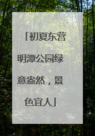 初夏东营明潭公园绿意盎然，景色宜人