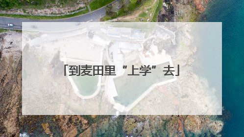 到麦田里“上学”去
