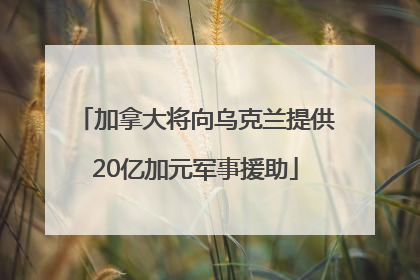 加拿大将向乌克兰提供20亿加元军事援助