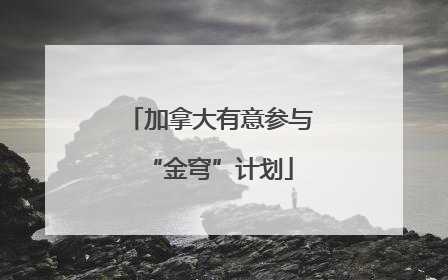 加拿大有意参与“金穹”计划