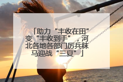 助力“丰收在田”变“丰收到手”，河北各地各部门厉兵秣马迎战“三夏”