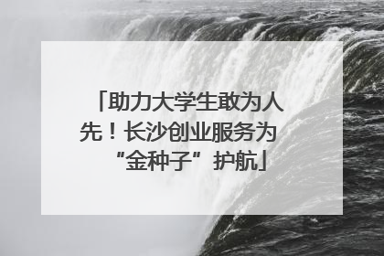 助力大学生敢为人先！长沙创业服务为“金种子”护航