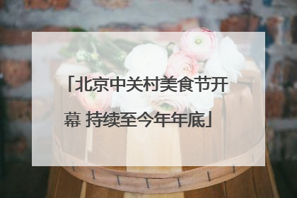 北京中关村美食节开幕 持续至今年年底