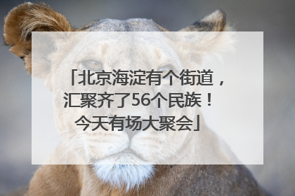 北京海淀有个街道，汇聚齐了56个民族！今天有场大聚会