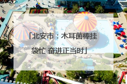 北安市：木耳菌棒挂袋忙 奋进正当时