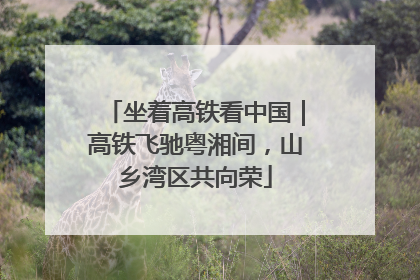 坐着高铁看中国｜高铁飞驰粤湘间，山乡湾区共向荣