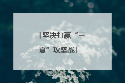 坚决打赢“三夏”攻坚战