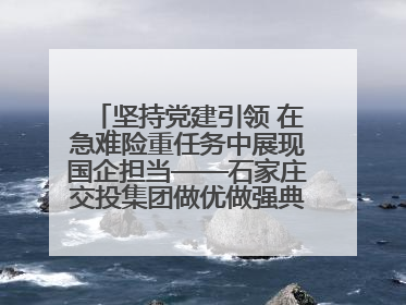 坚持党建引领 在急难险重任务中展现国企担当——石家庄交投集团做优做强典型报道之一