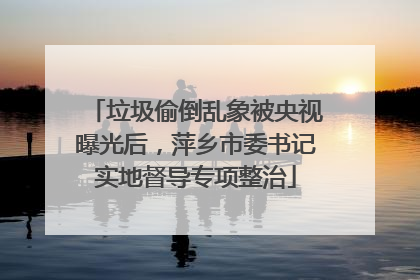 垃圾偷倒乱象被央视曝光后，萍乡市委书记实地督导专项整治