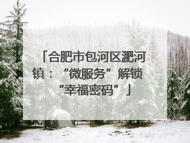 合肥市包河区淝河镇：“微服务”解锁“幸福密码”