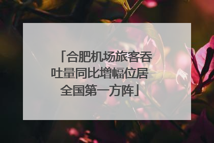 合肥机场旅客吞吐量同比增幅位居全国第一方阵