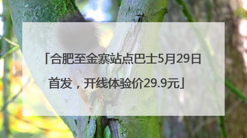 合肥至金寨站点巴士5月29日首发，开线体验价29.9元