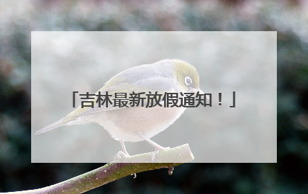 吉林最新放假通知！