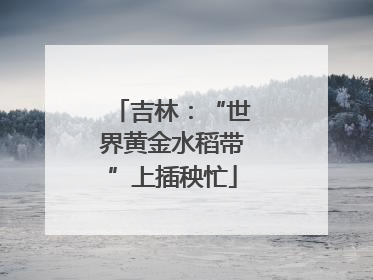 吉林：“世界黄金水稻带”上插秧忙