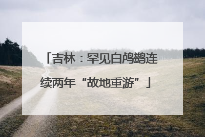 吉林：罕见白鸬鹚连续两年“故地重游”