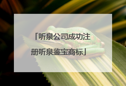 听泉公司成功注册听泉鉴宝商标