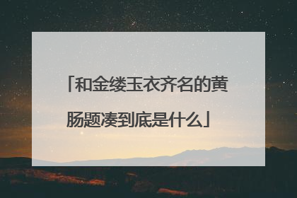 和金缕玉衣齐名的黄肠题凑到底是什么