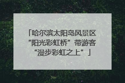 哈尔滨太阳岛风景区“阳光彩虹桥”带游客“漫步彩虹之上”