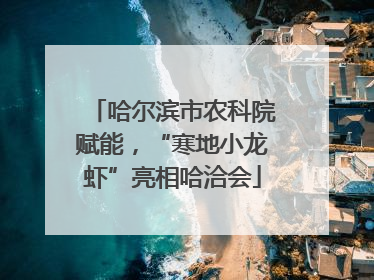 哈尔滨市农科院赋能，“寒地小龙虾”亮相哈洽会