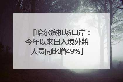 哈尔滨机场口岸：今年以来出入境外籍人员同比增49%