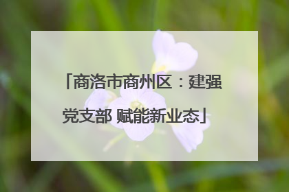 商洛市商州区：建强党支部 赋能新业态
