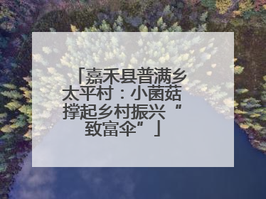嘉禾县普满乡太平村：小菌菇撑起乡村振兴“致富伞”