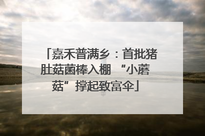 嘉禾普满乡：首批猪肚菇菌棒入棚 “小蘑菇”撑起致富伞