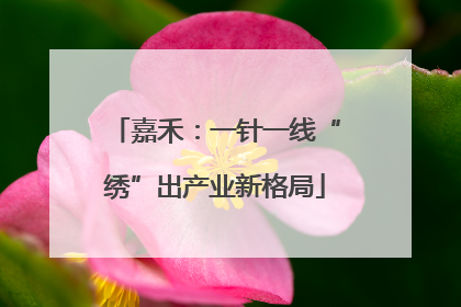 嘉禾：一针一线“绣”出产业新格局