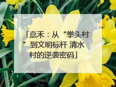 嘉禾：从“拳头村”到文明标杆 清水村的逆袭密码