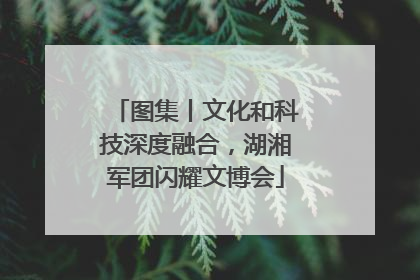 图集丨文化和科技深度融合，湖湘军团闪耀文博会