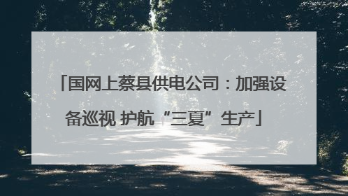 国网上蔡县供电公司：加强设备巡视 护航“三夏”生产
