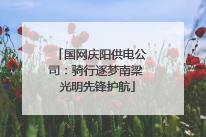 国网庆阳供电公司：骑行逐梦南梁 光明先锋护航