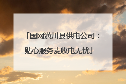 国网潢川县供电公司：贴心服务麦收电无忧