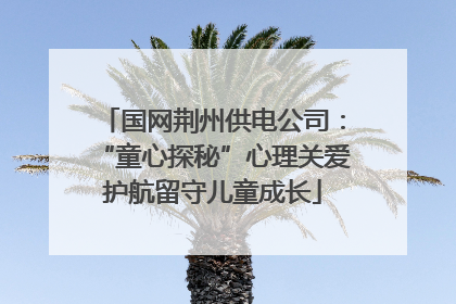 国网荆州供电公司：“童心探秘”心理关爱护航留守儿童成长