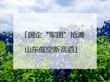 国企“军团”抢滩山东低空新赛道