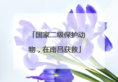 国家二级保护动物，在南昌获救