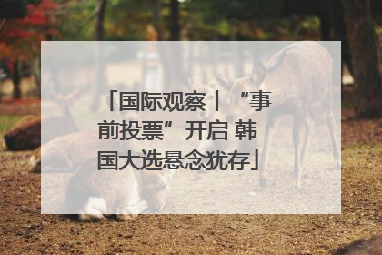 国际观察丨“事前投票”开启 韩国大选悬念犹存