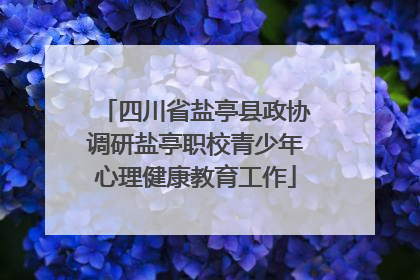 四川省盐亭县政协调研盐亭职校青少年心理健康教育工作