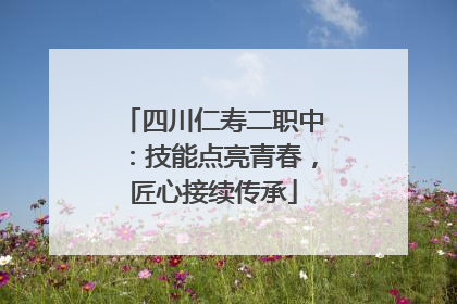 四川仁寿二职中：技能点亮青春，匠心接续传承