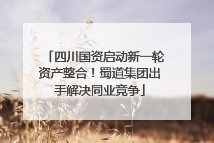 四川国资启动新一轮资产整合！蜀道集团出手解决同业竞争