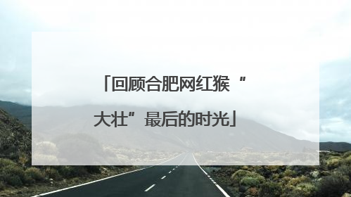 回顾合肥网红猴“大壮”最后的时光