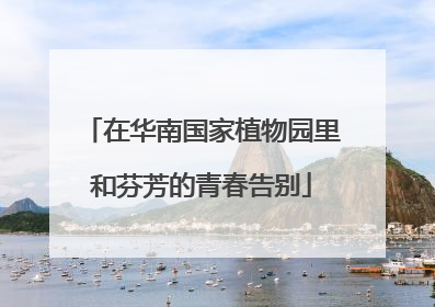 在华南国家植物园里和芬芳的青春告别