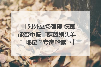 对外立场强硬 德国能否重振“欧盟领头羊”地位？专家解读→